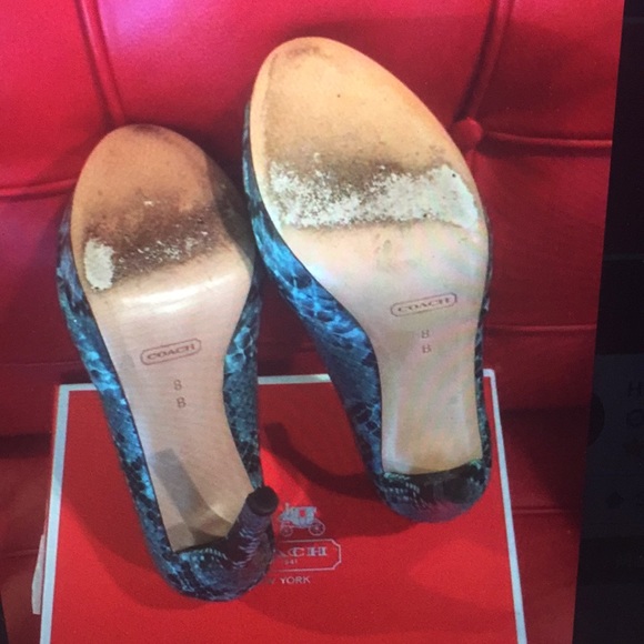 AUTHENTIC COACH SHOE - PRINTED SNAKE - Picture 5 of 7